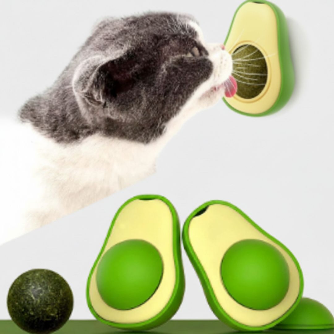 Avocado Catnip Toy – Interactive Teeth-Cleaning Cat Ball