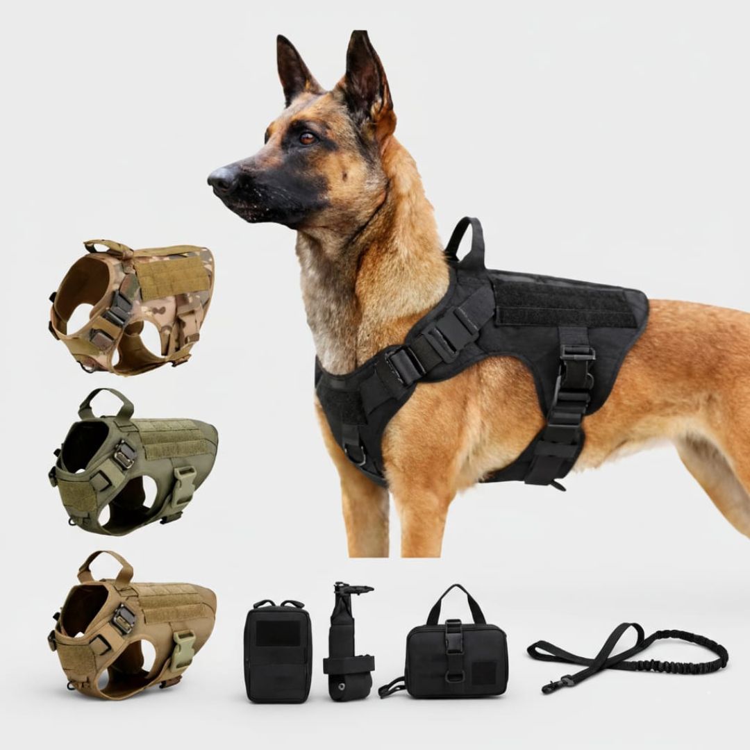 Luxury Nylon Dog Harness